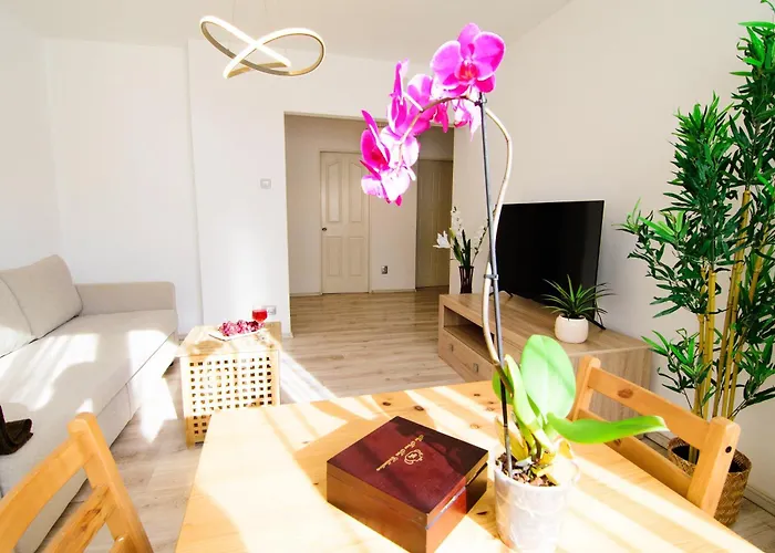 Best City Center Apartments By Alia